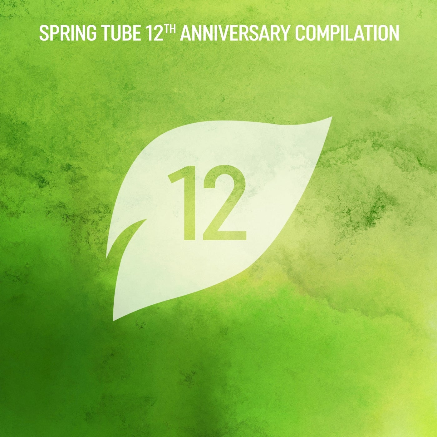 VA - Spring Tube 12th Anniversary Compilation [SPR311CMP12]